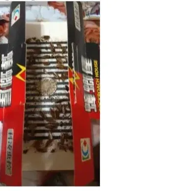 10Pcs Cockroach Sticky Glue Traps 🪳✨ | Eco-Friendly Pest Repellent 🌱 | Non-Toxic Roach Control 🚫 - Image 6