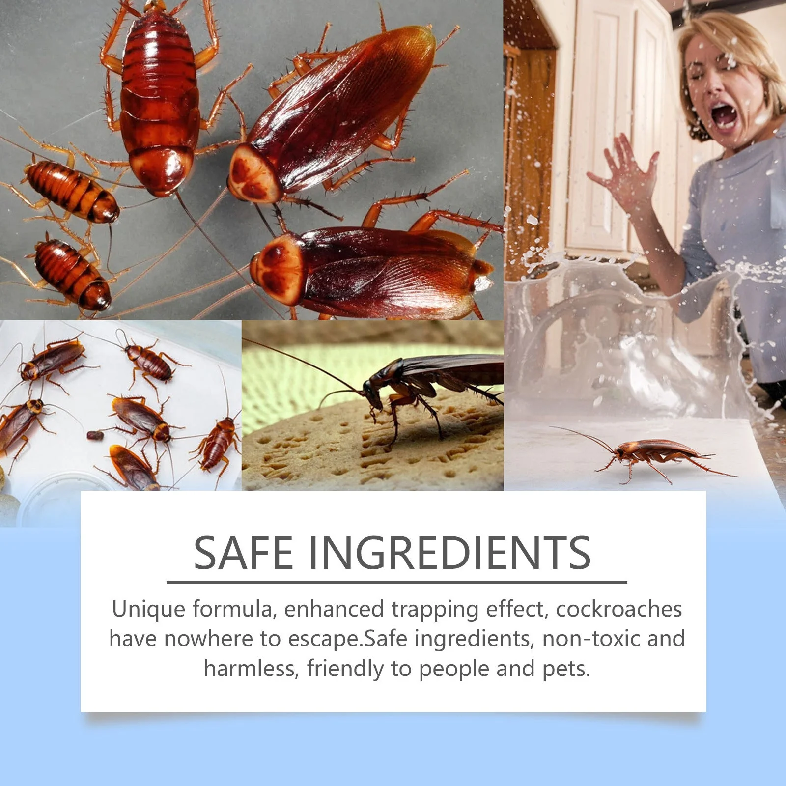 Cockroach Bait Stickers for Effective Roach Control - Image 5