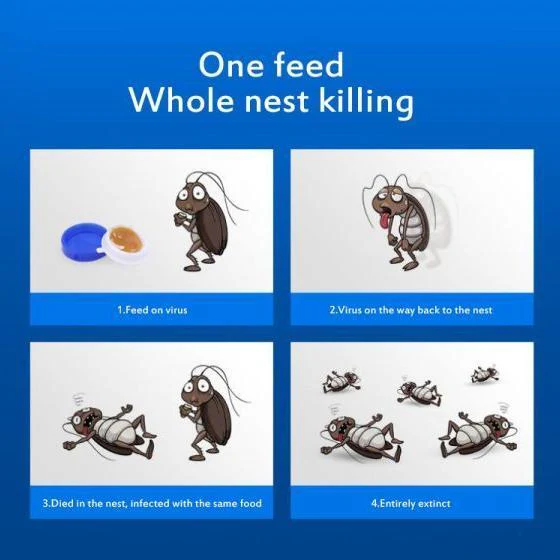 Cockroach Killer Bait Stickers for Effective Control - Image 4
