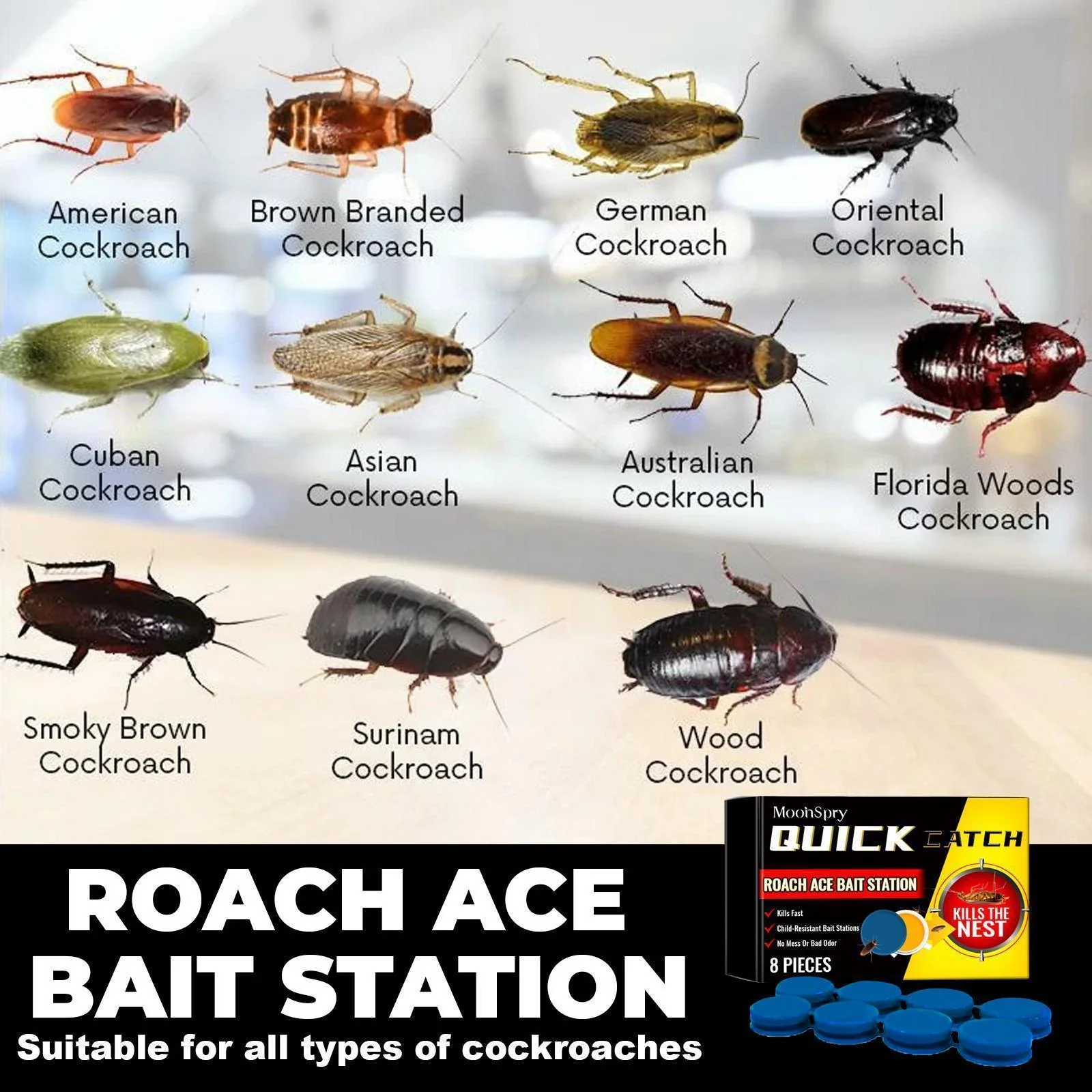Cockroach Killer Star Bait Station Pest Control USA Warehouse 🇺🇸 - Image 10
