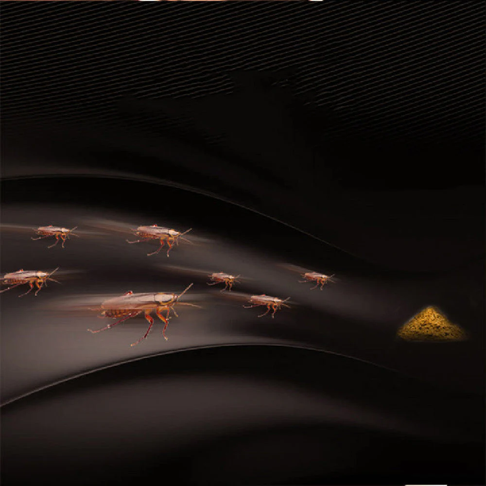 Cockroach Powder Bait 50 Bags for Pest Control - Image 4