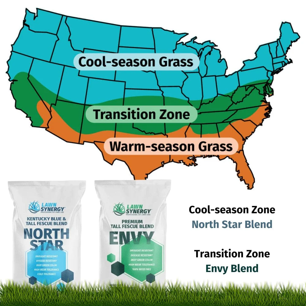 Lesco All Pro Transition Tall Fescue Grass Seed - Image 3
