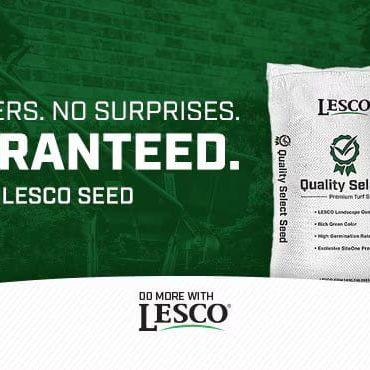 Lesco All Pro Transition Tall Fescue Grass Seed - Image 4