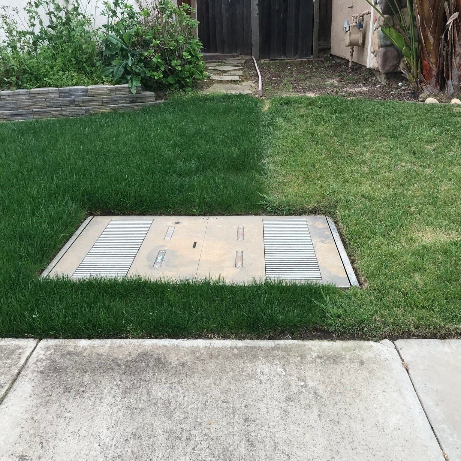 LESCO Estate Eagle Plus Grass Seed - Image 3