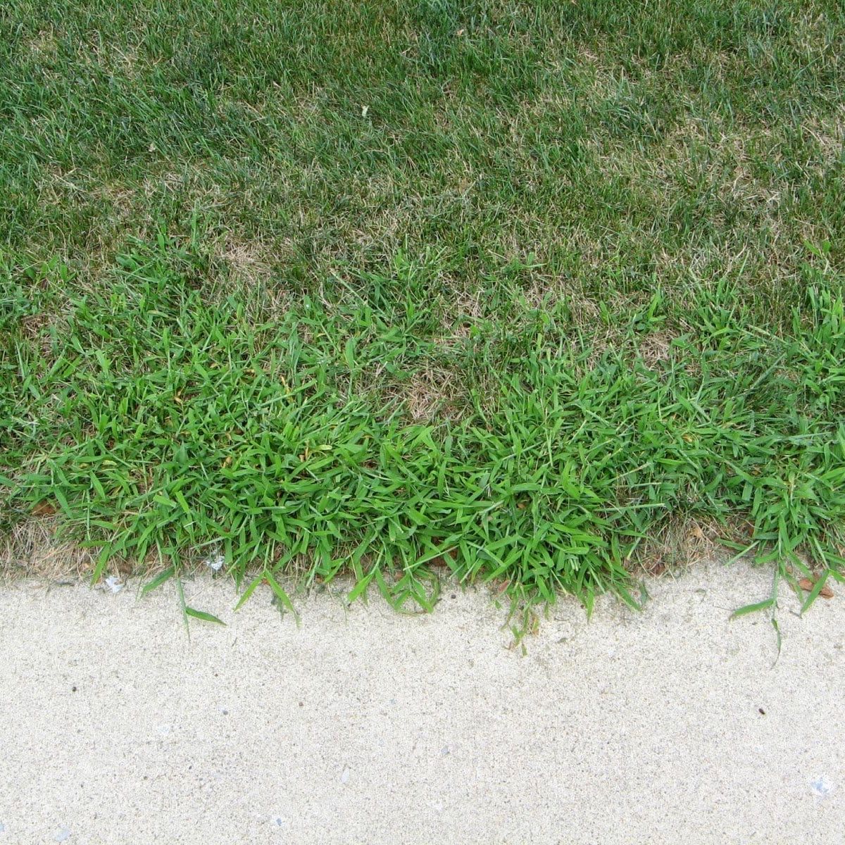 LESCO Quin-Way 1.5L Herbicide (64 oz) - Image 2