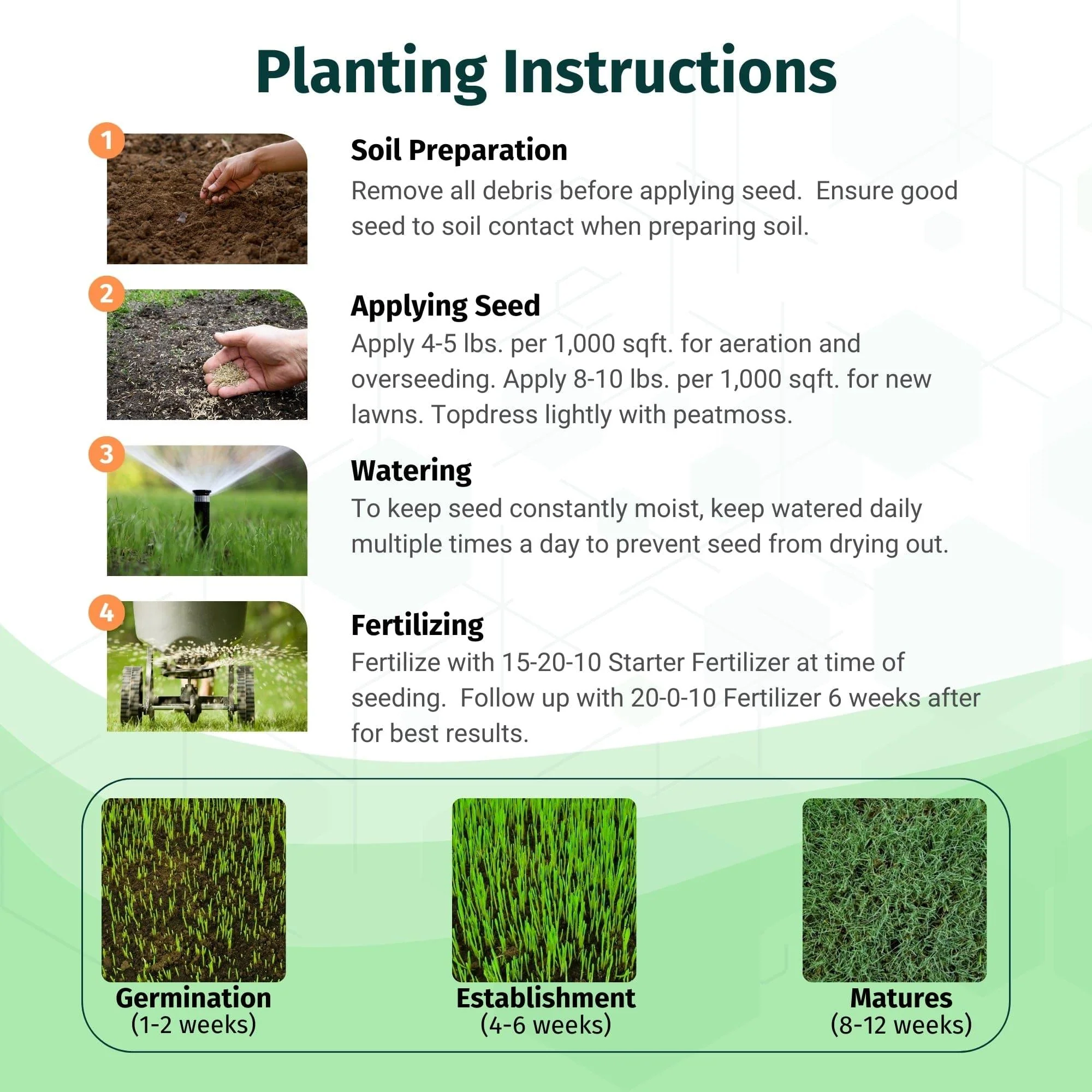 North Star Grass Seed | Premium Kentucky Bluegrass & Tall Fescue Blend - Image 5