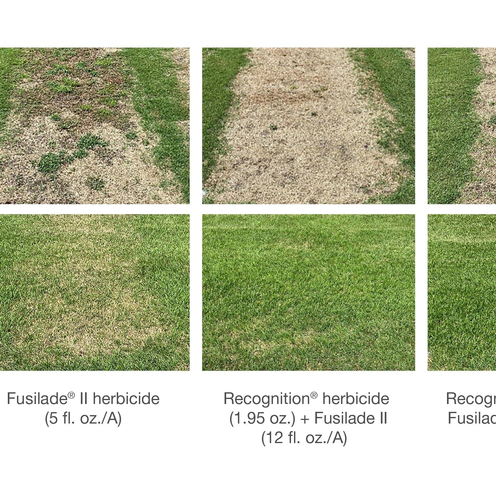 Recognition Herbicide - Image 3
