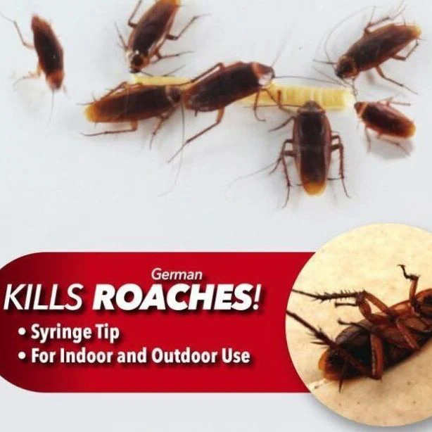 Safe Cockroach Killing Bait for Effective Control - Image 2